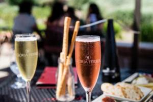 沃尔夫斯堡客场胜出，积分榜上攀升