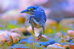 苏宁客场不敌海马，积分榜位置下滑