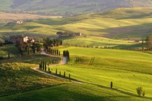 苏宁凭借逆袭，中超战队实力得到升华