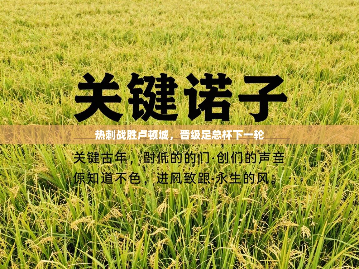 热刺战胜卢顿城，晋级足总杯下一轮  第2张